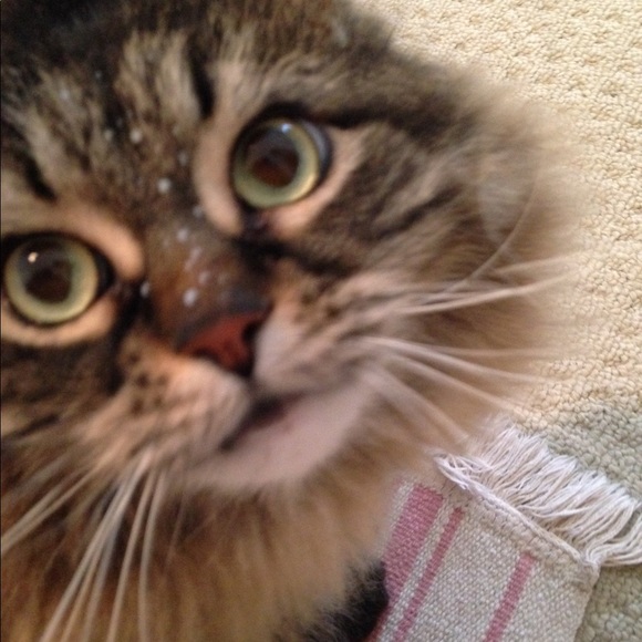 Meet your Posher, Tynisha!🌺 - Picture 2 of 7